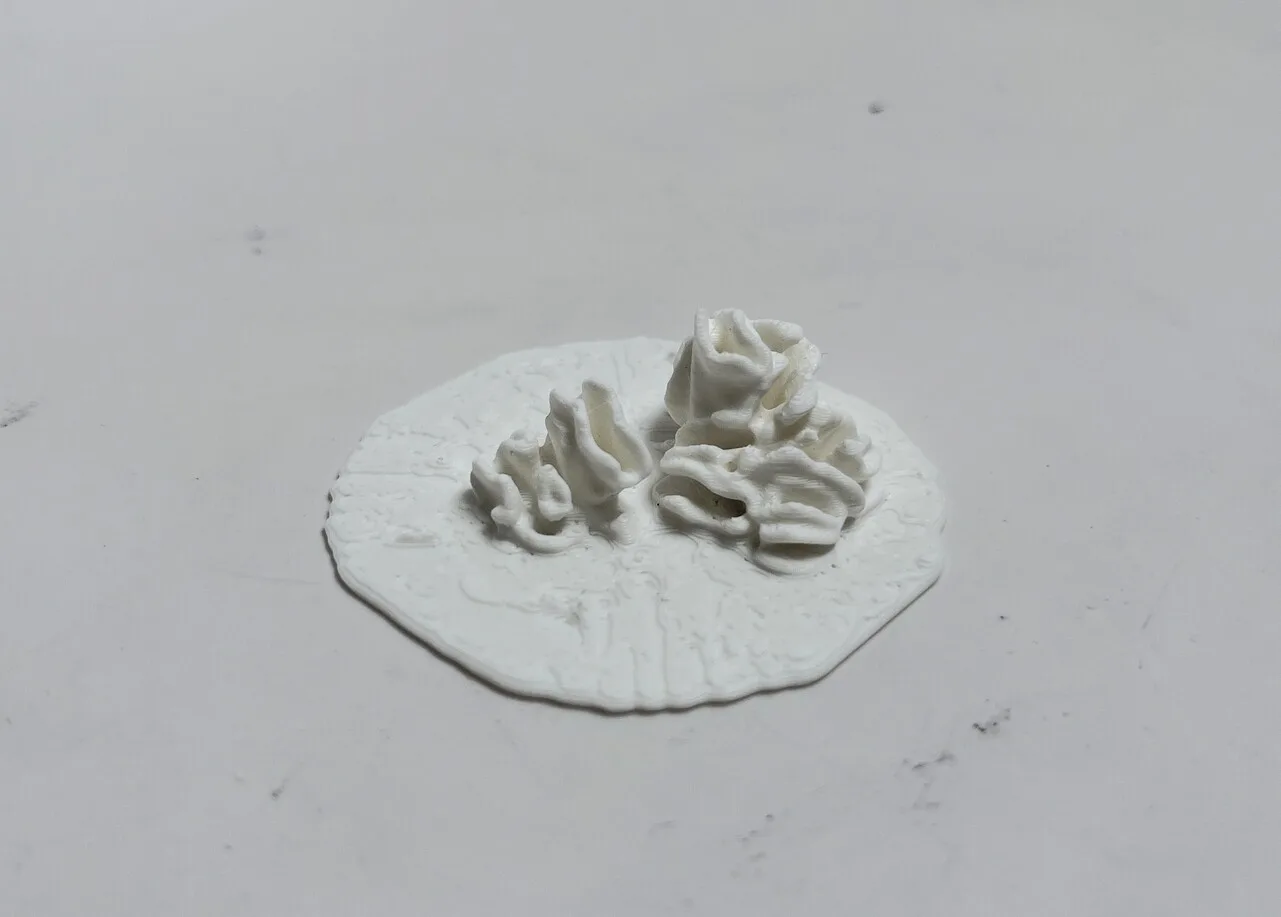 Coral test print
