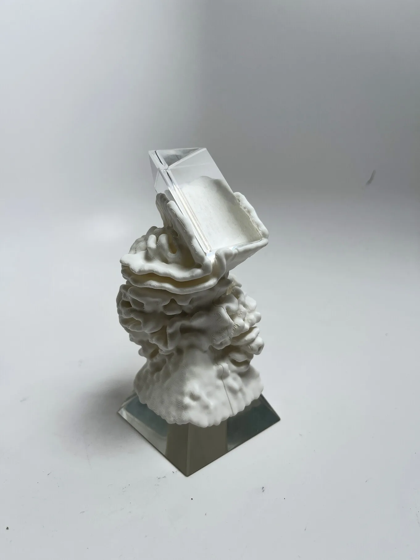 Prism 1