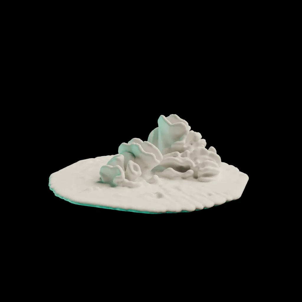 Final Render Coral
